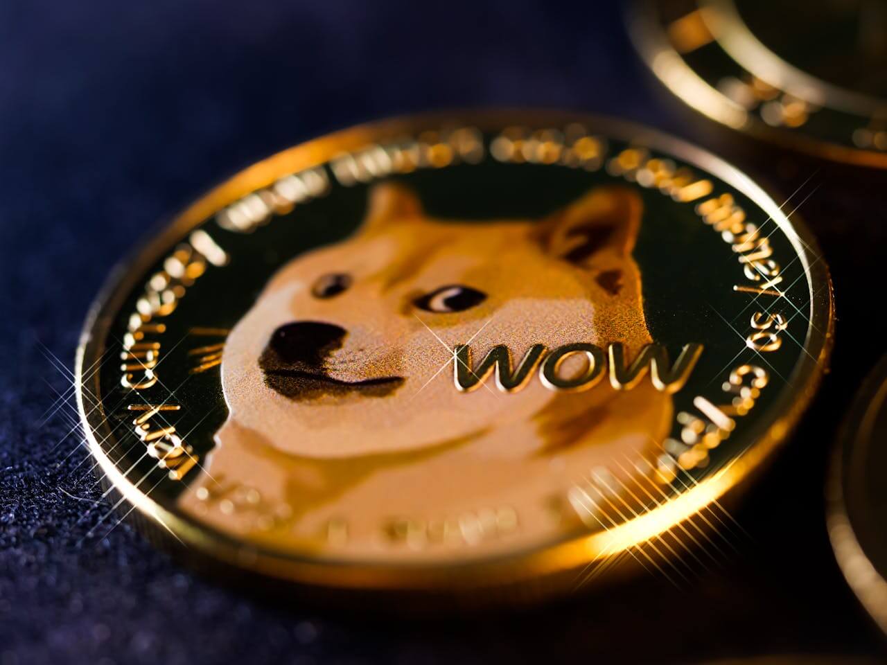 doge