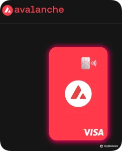 Avalanche Visa