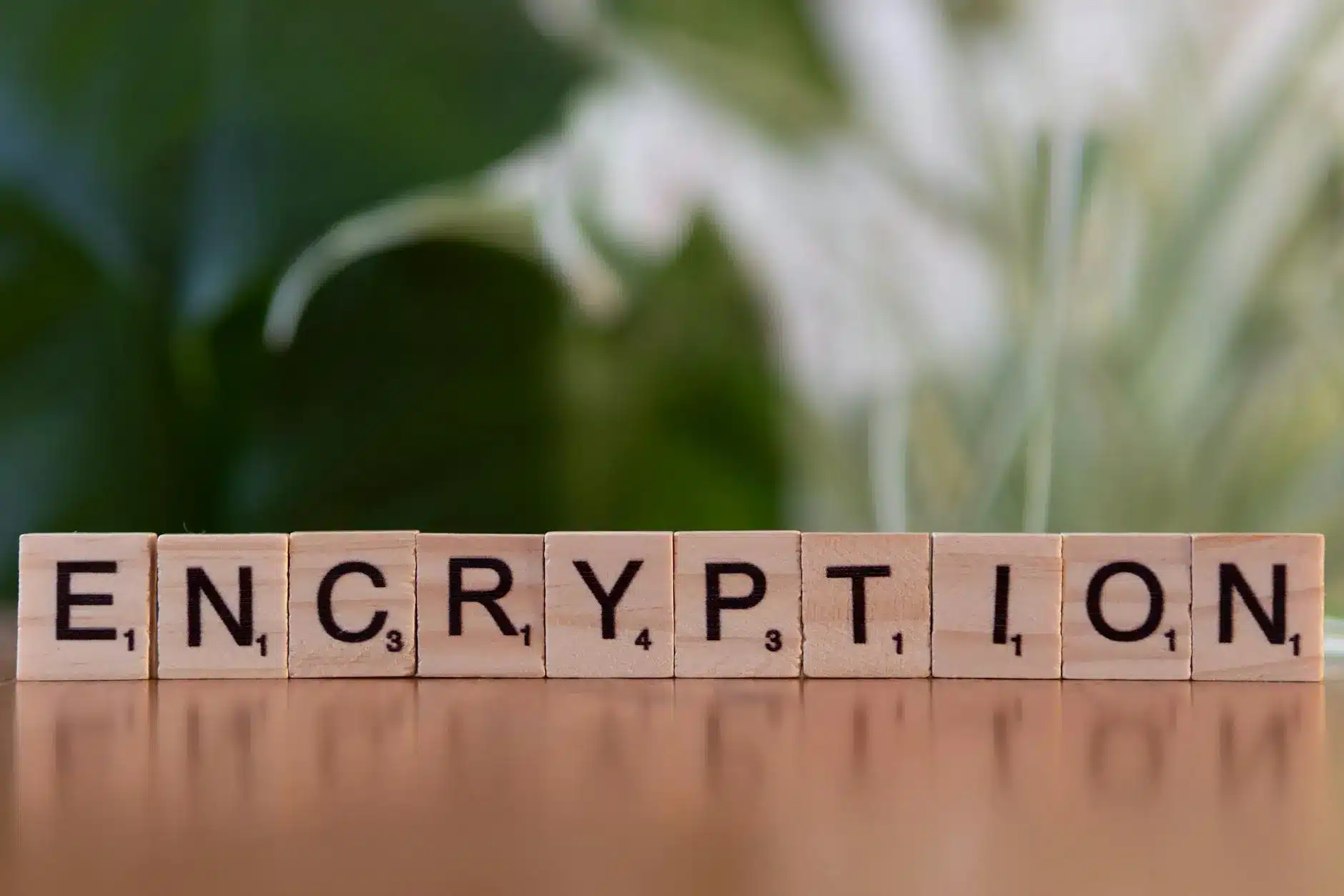 Wooden blocks spelling 'ENCRYPTION' on a blurred green background.