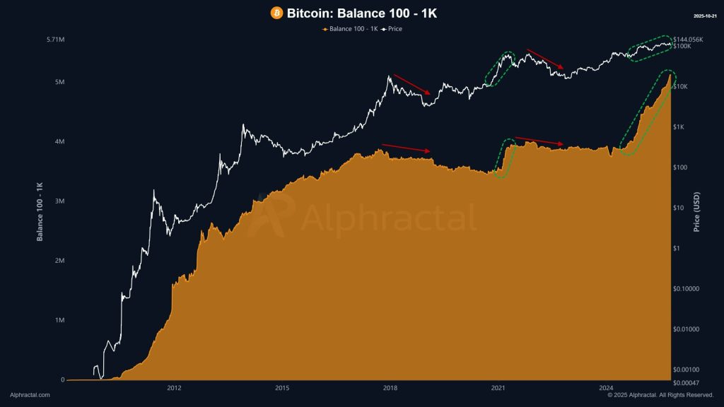 Bitcoin whales zijn aan het accumuleren