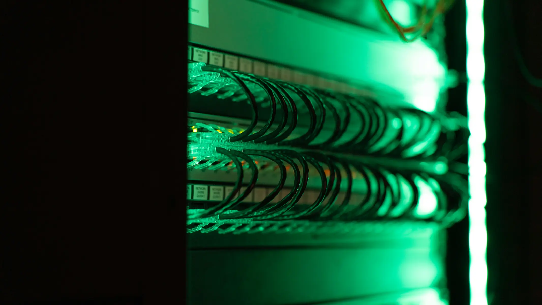 Een close-up van netwerkkabels in een serverkast met groene verlichting.