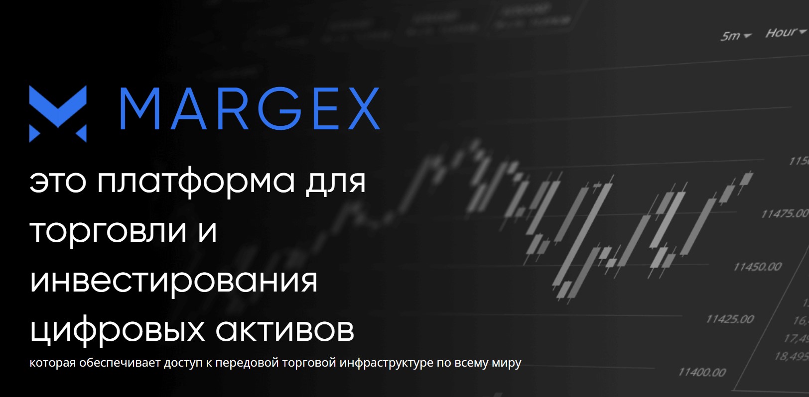 Margex – лучшая криптобиржа для копитрейдинга и стейкинга