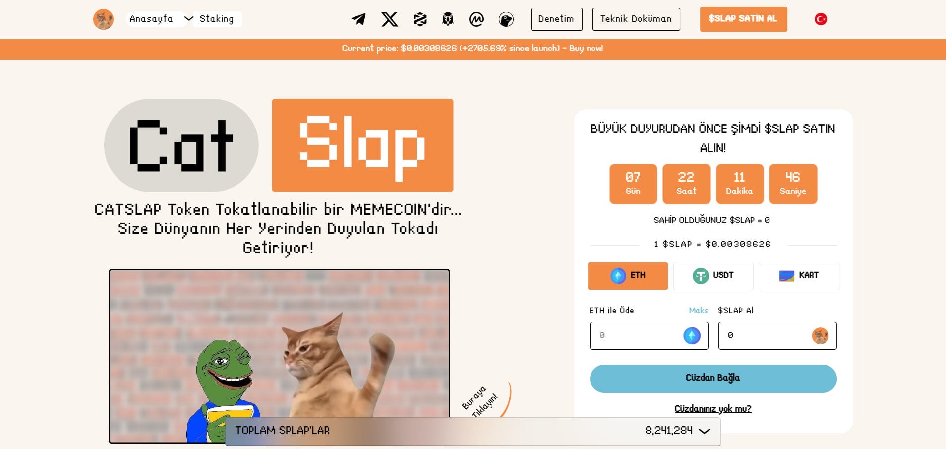 Eğlenceli Kedi Temalı Oyuna Sahip Meme Coin