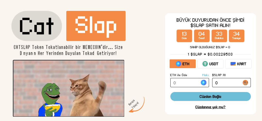 Kedi temalı kripto paralar