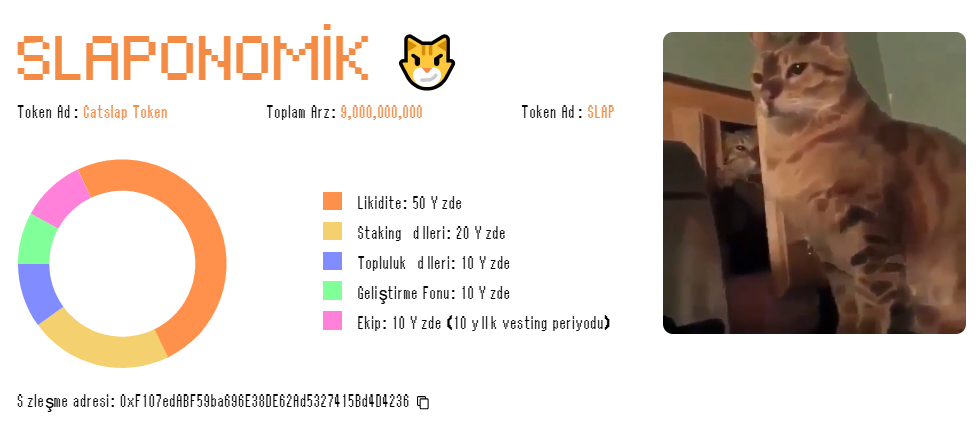 Yükselecek kedi temalı tokenler
