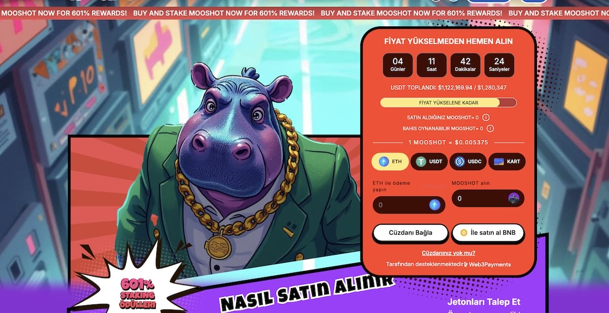 Mooshot ekosistemi ön satış projesi