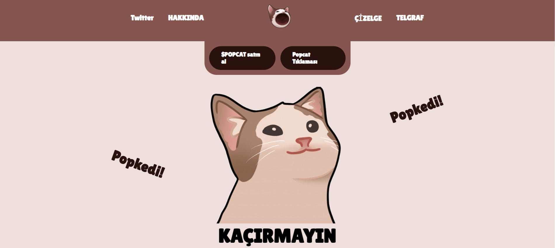 en iyi kedi meme coinleri