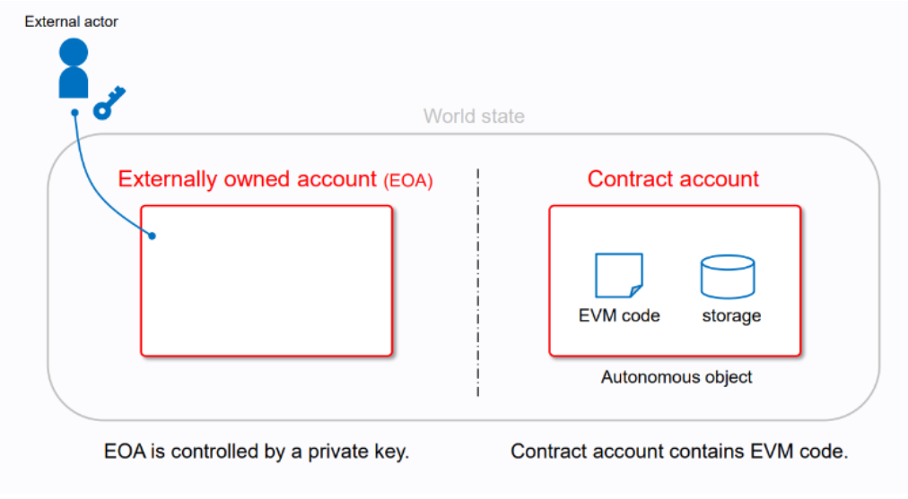 EVM wallet nedir