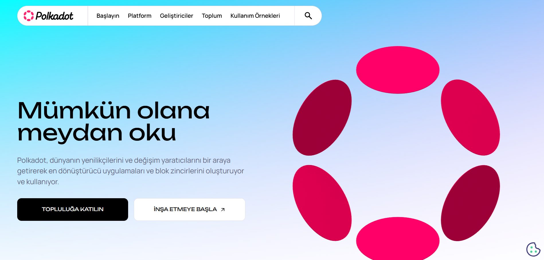 Polkadot yorum