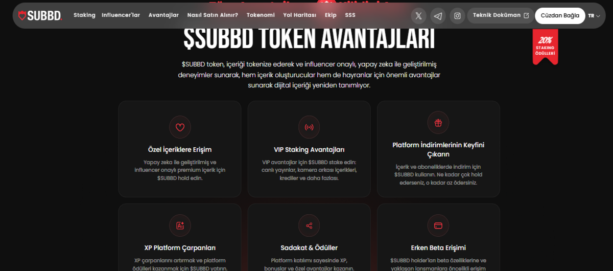 Yükselecek coinler arasında öne çıkan SUBBD hakkında kapsamlı analiz