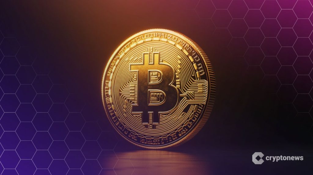 Bitcoin ETF’lerine Rekor Giriş - Ethereum Neden Geride Kaldı?