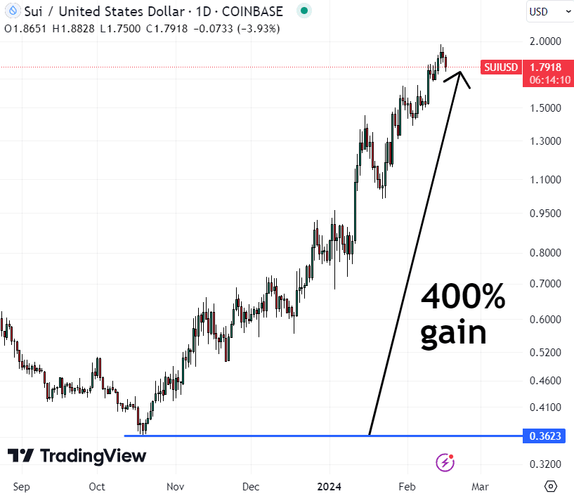 SUI could be the best crypto to buy in the 2024 bull run. 
