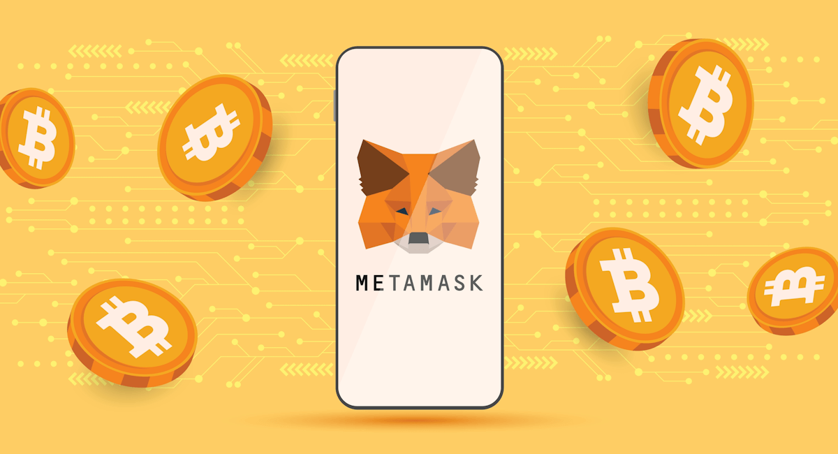 how to set up metamask