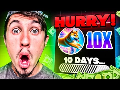 Dogeverse 10 DAYS Until Launch – Next 10X Potential Crypto?!