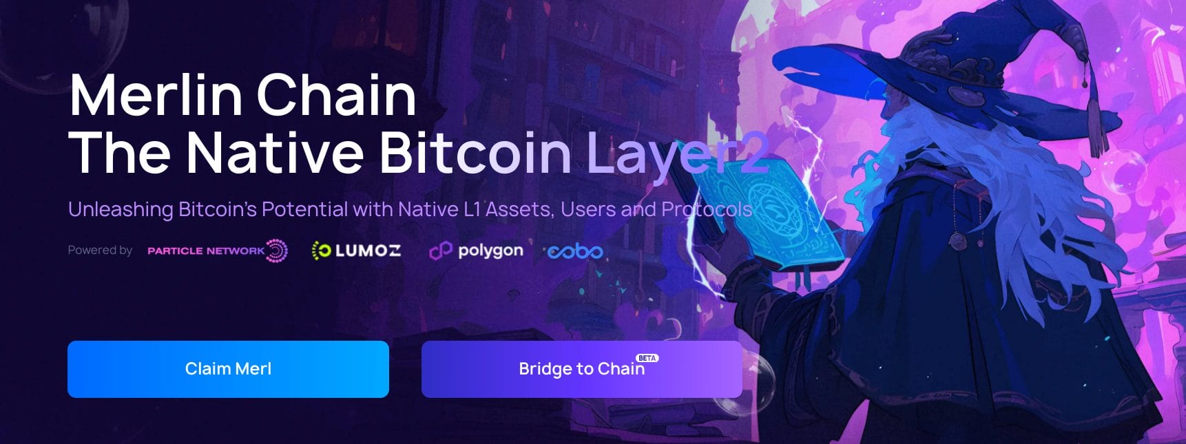merlin chain