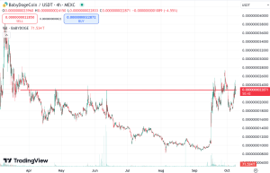 Baby Doge Coin Technical Chart Support Area