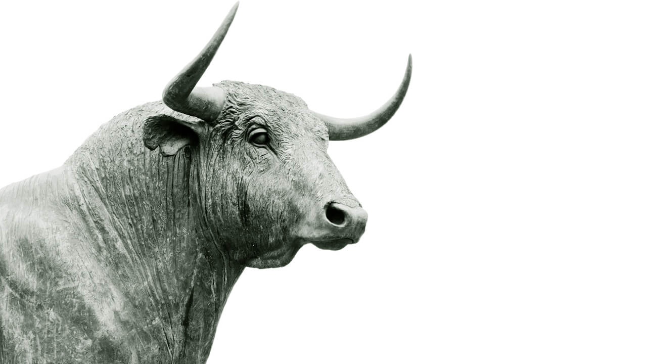 crypto bull market