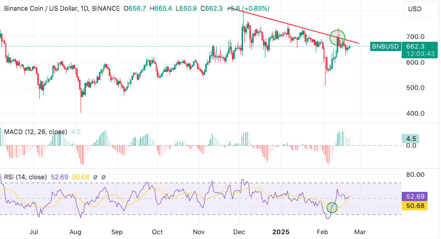 bnb coin rejects move above $700