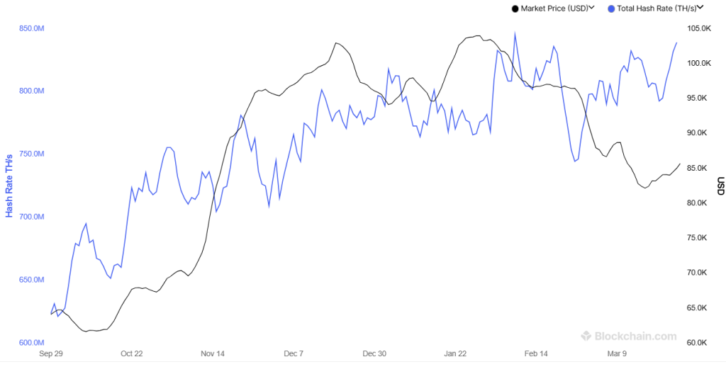 A graph showing the Bitcoin network’s total hash rate in terahashes per second (TH/s) over the past six months.