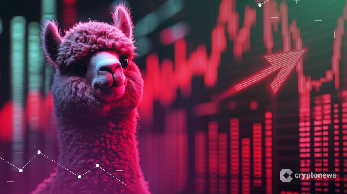 Alpaca