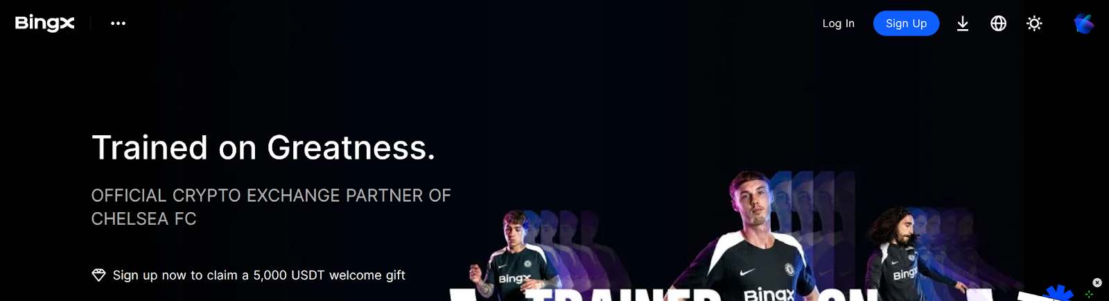 bingx homepage