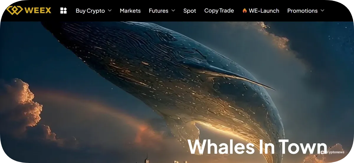 Weex Exchange
