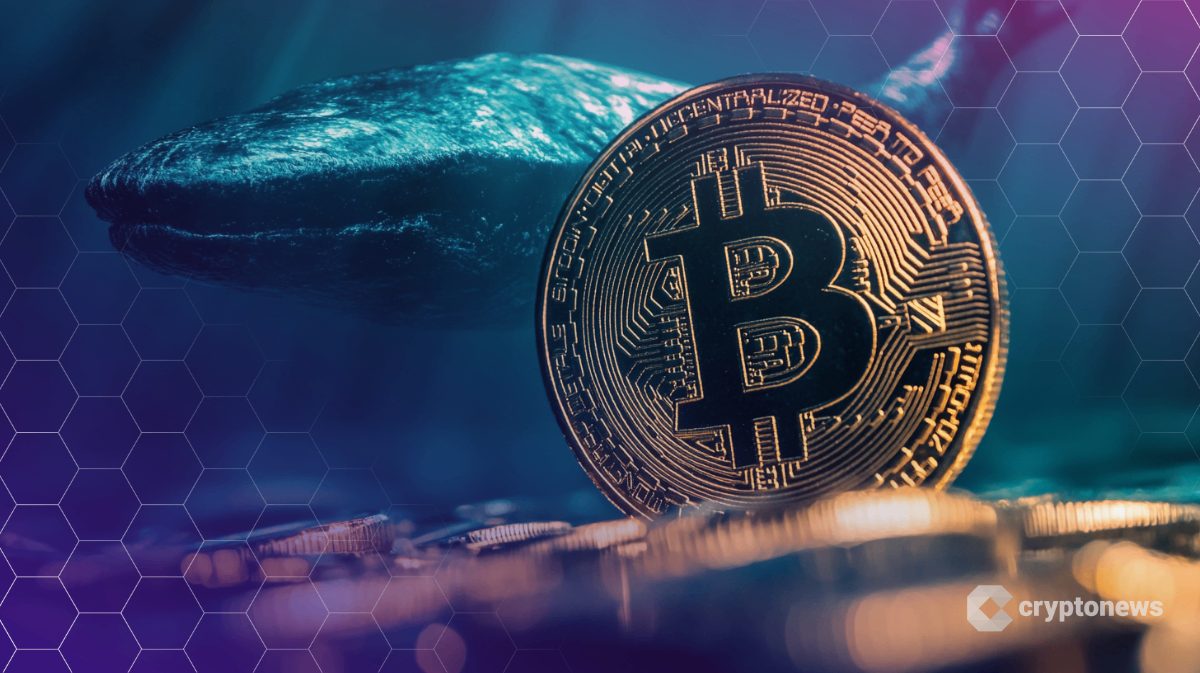 Crypto Whale Opens New $163M Bitcoin Short After $192M Win