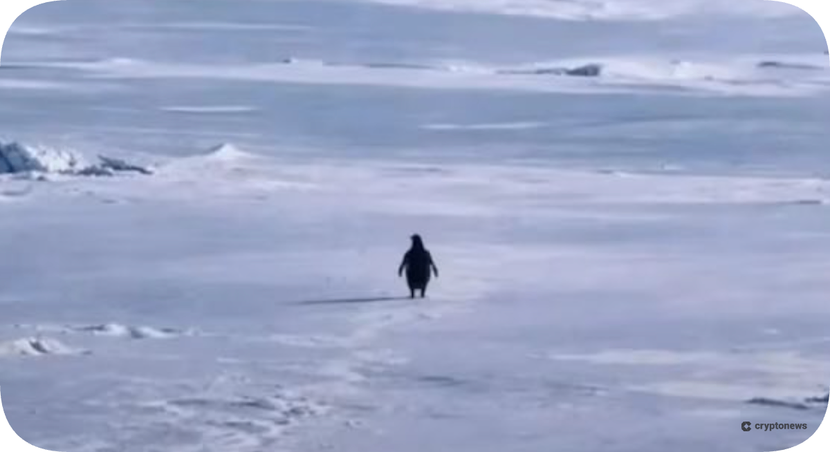 Nietzschean Penguin