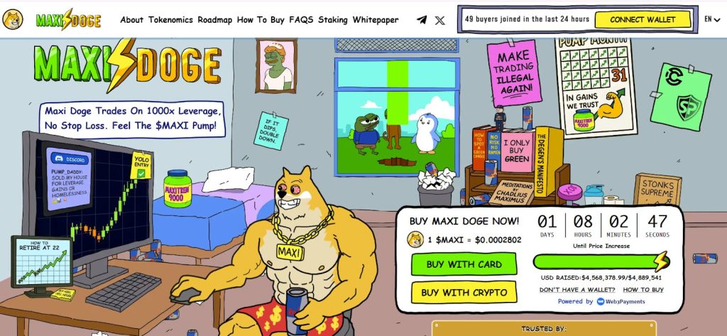 Maxidoge Banner