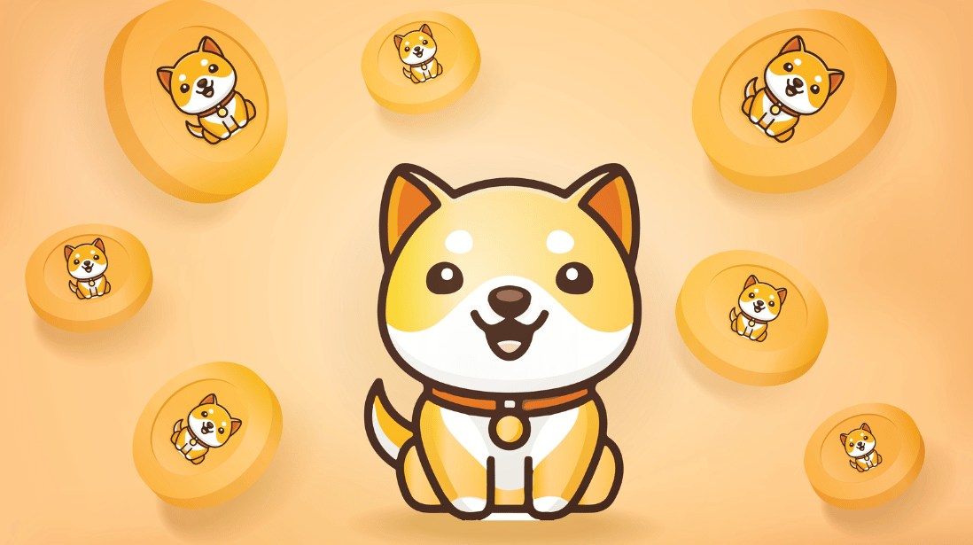 Baby Doge criptomoeda no Brasil em 2026