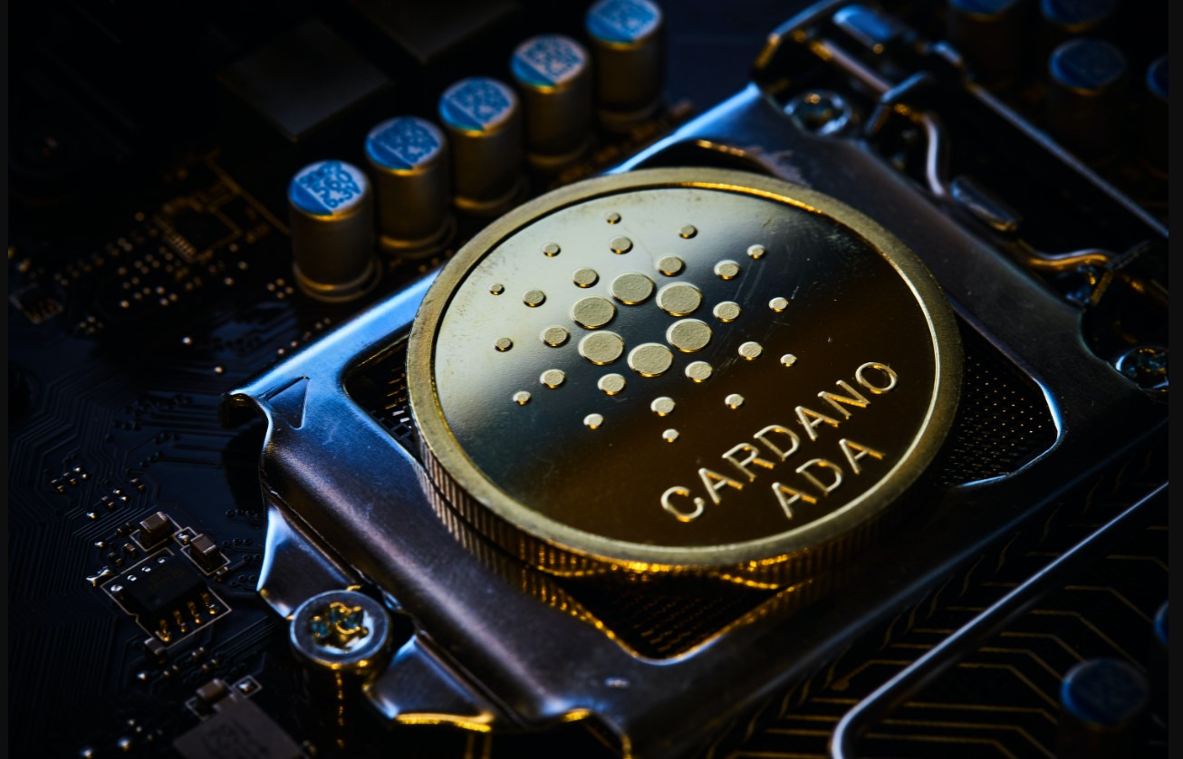 Cardano lompakko