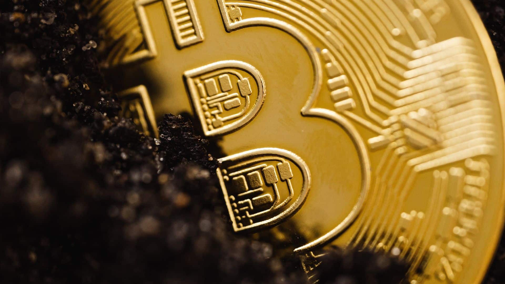 bitcoin