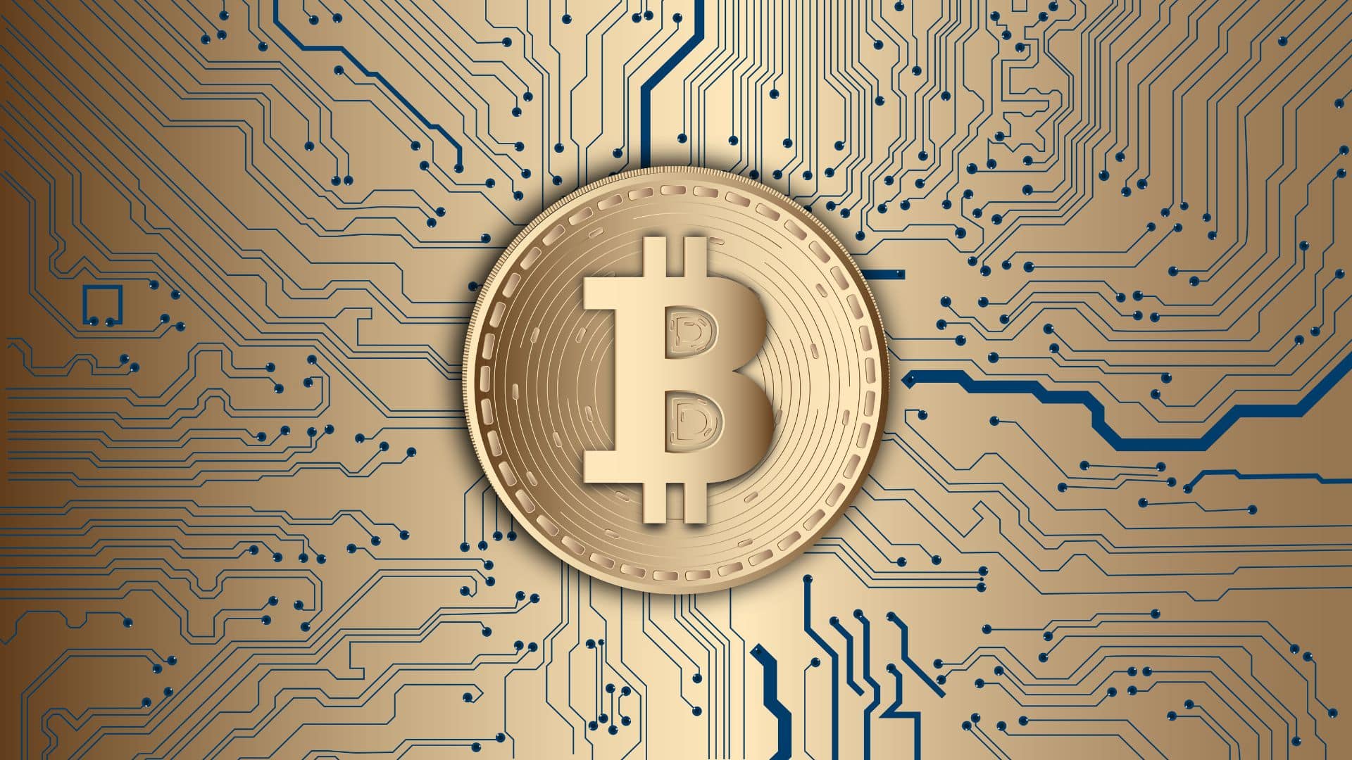 Bitcoin arvo