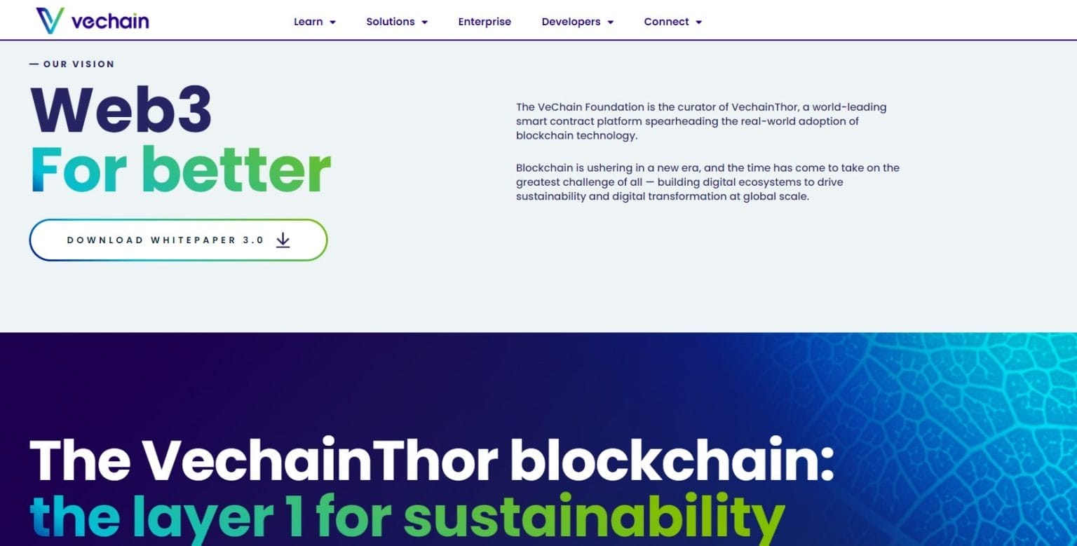 VeChain