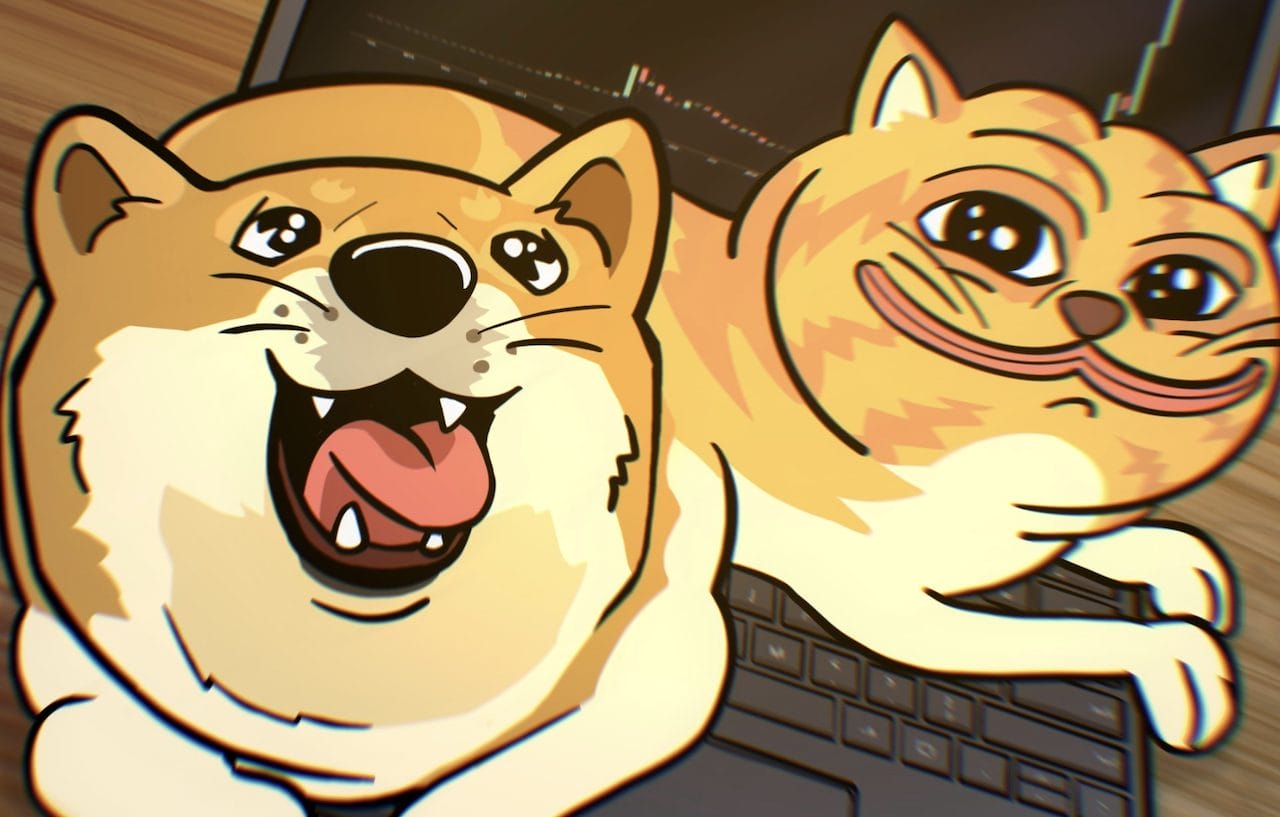 dogwifcat-fazit