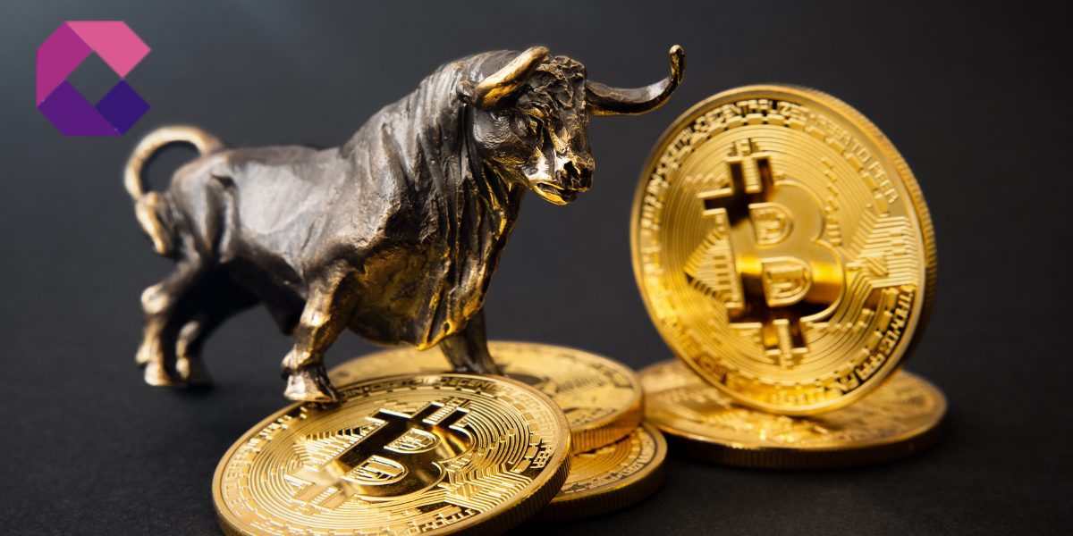 hossa kryptowalut