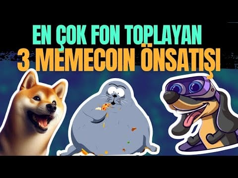 En Çok Fon Toplayan 3 Memecoin Ön Satışı, Sealana, Wiener Ai, Dogeverse