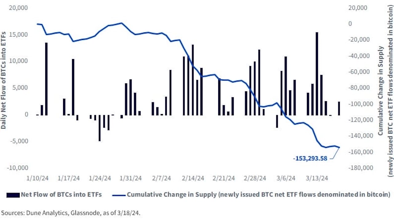 Bitcoin fiyat artışına neden olan faktörler. Grafik