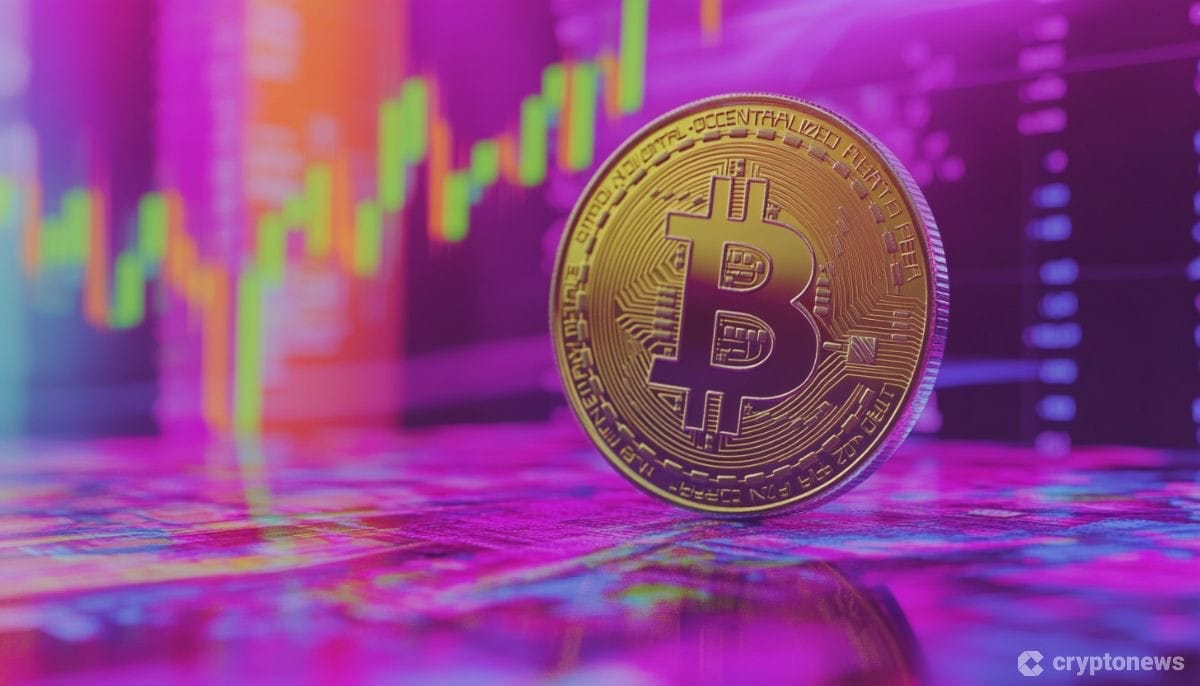 Bitcoin Fiyat Oynaklığı