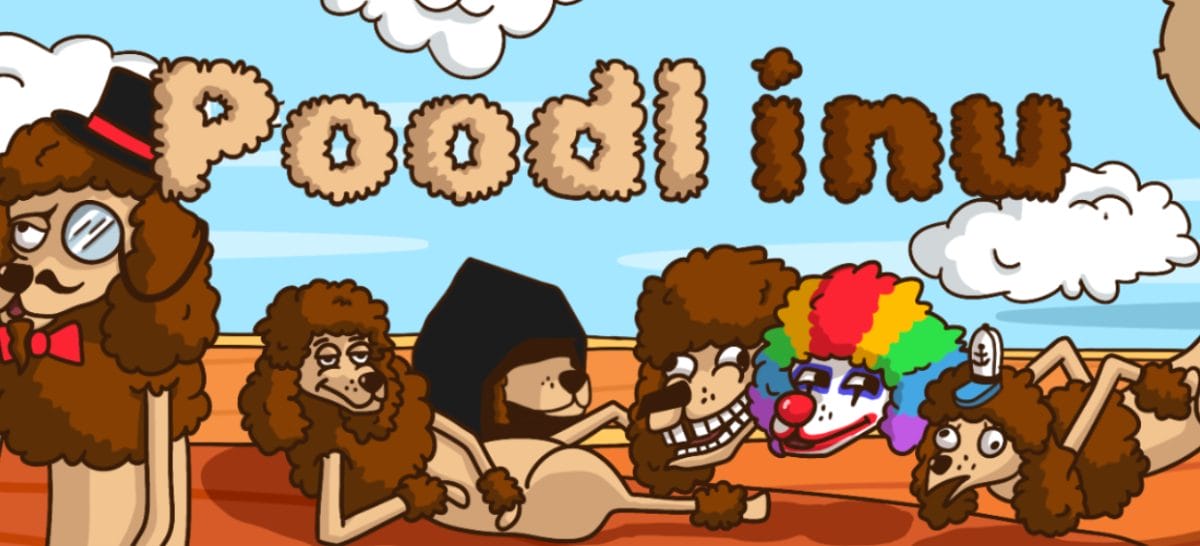 強気な姿勢で個性の強いPoodlINUたち