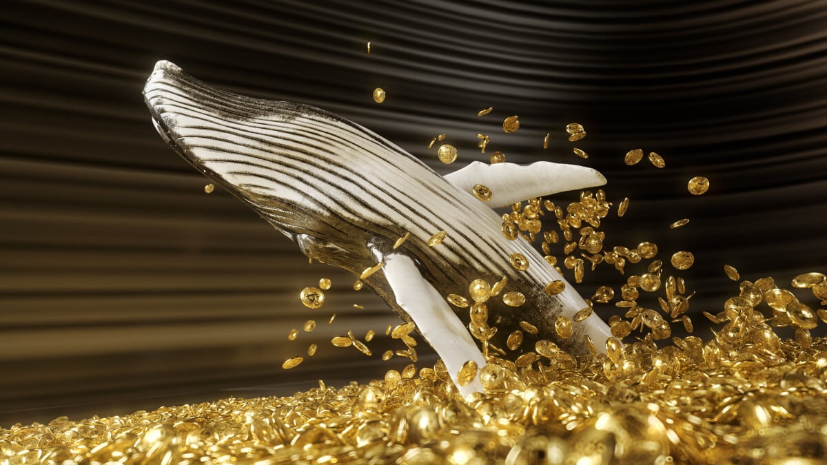 Wat is een crypto whale?