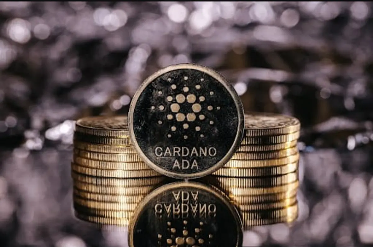 Wat is Cardano? Alles wat je moet weten over de Ethereum Killer