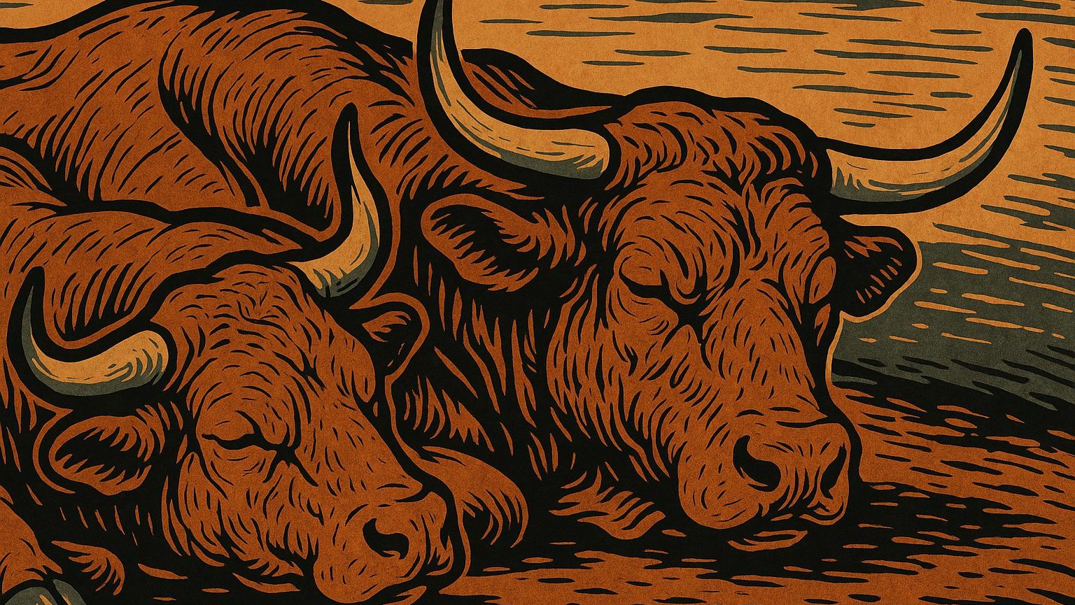 Crypto expert: drie redenen waarom de bull markt voorbij kan zijn