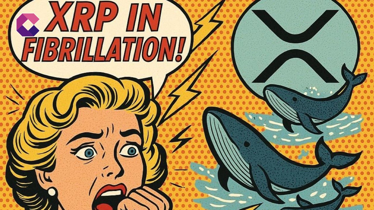 XRP in fibrillazione! Balene spostano miliardi