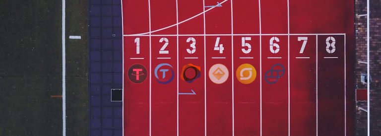 Who Is Winning The Stablecoin Race?