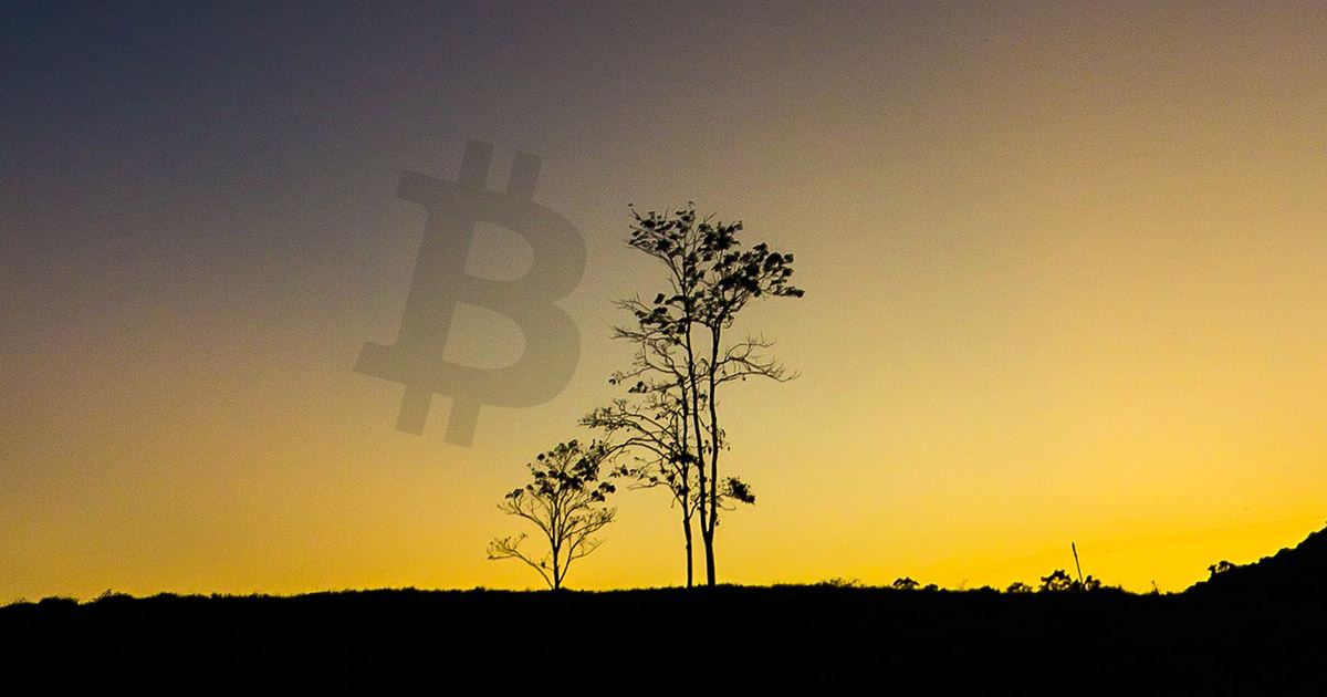 Venezuelans are paying an average $1,980 premium on LocalBitcoins [UPDATED]