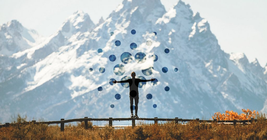 Cardano’s-Parent IOHK donates $500,000 to the University of Wyoming