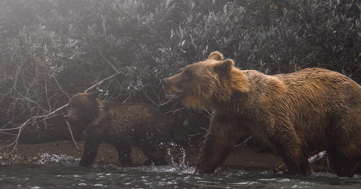 Funds on CME Bitcoin futures market have turned aggressively bearish, data shows
