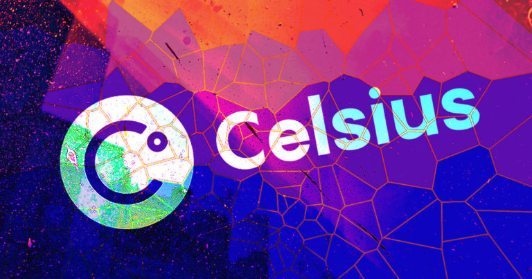 Celsius carried more risk than traditional banks, investor documents show