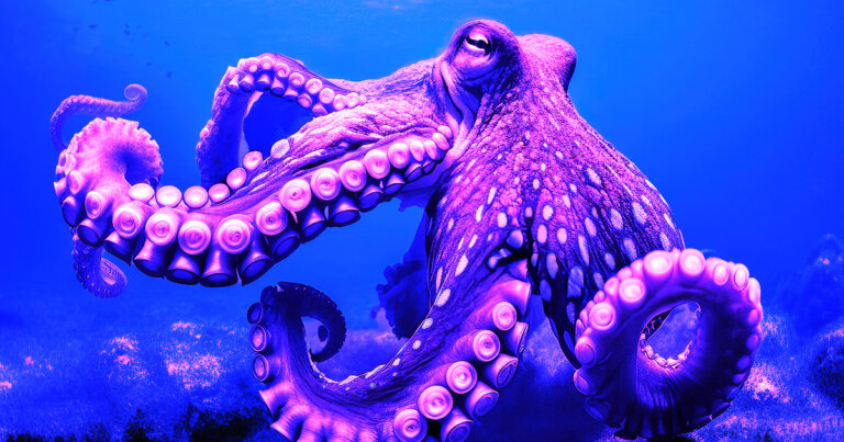 Kraken expands European footprint with new virtual asset licenses in Ireland and Spain